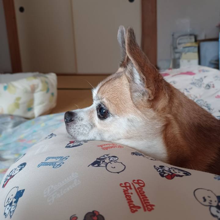 16abc33b 52cf 4a0e 9e06 f76acf1cadfc 1758321237273