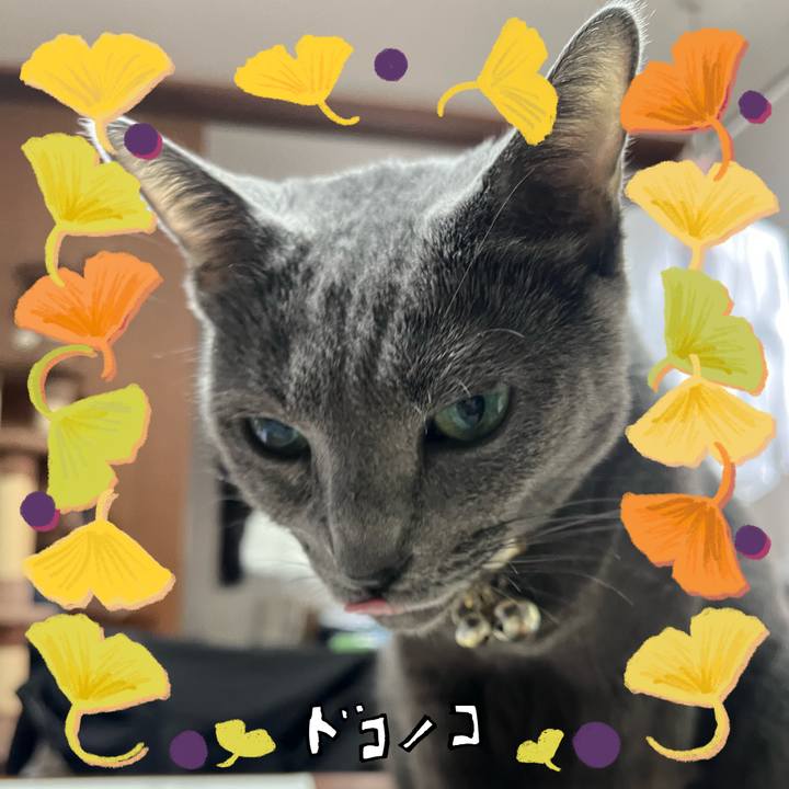 16abf398 d9de 4029 962c f0e5fa05ca14 1729838158838