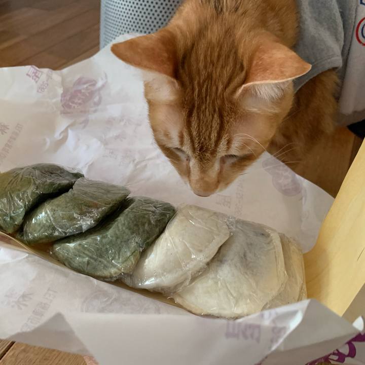 16ac0565 50d1 440f bcdf 3d07d3aef551 1618740680263