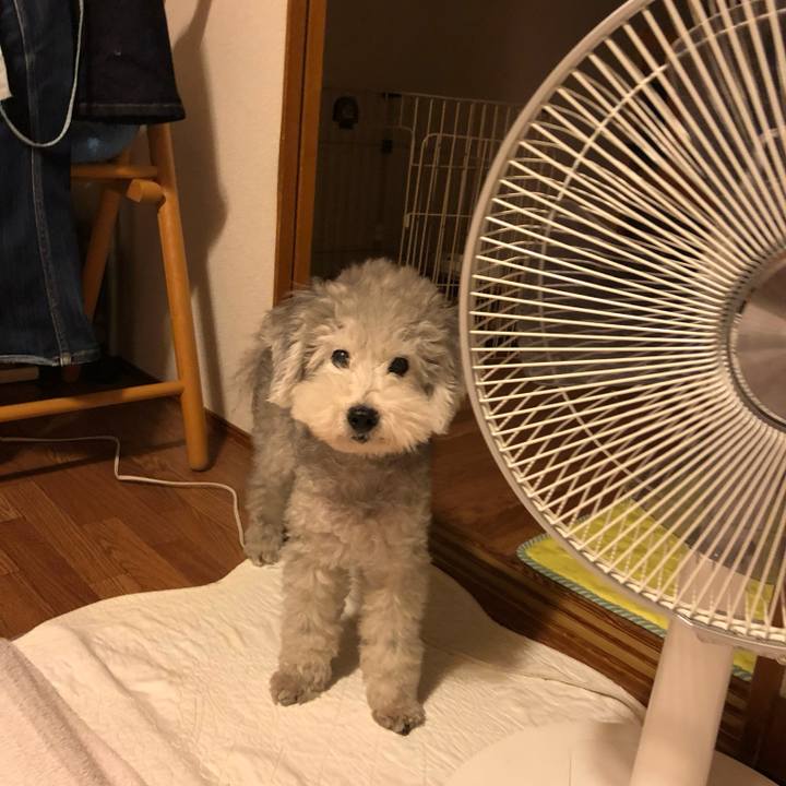 16ac0c9f 32d7 48f5 88a9 f818ccb49d5e 1724967854912