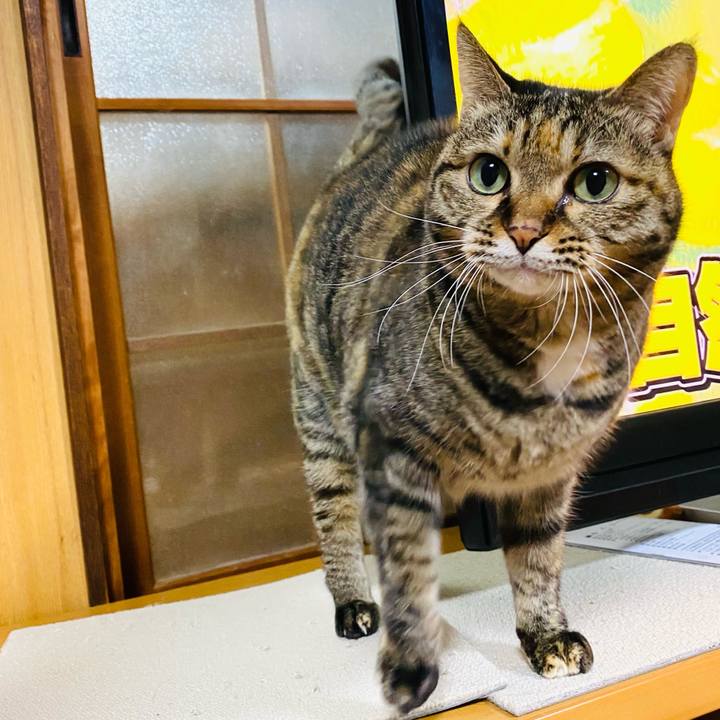 16ac0ffc b4c6 4c97 abc2 1da2ebf2c929 1670849942782