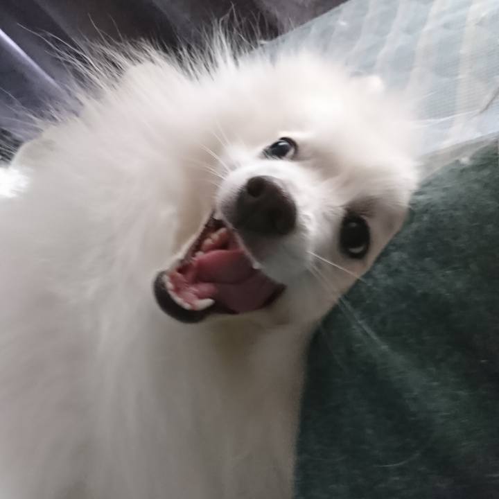 16ac14ae 0b09 4933 95a2 15749c3b4246 1602718049030