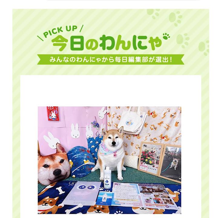 16ac7141 e3c8 4976 bc3a 28936a248353 1679524041046