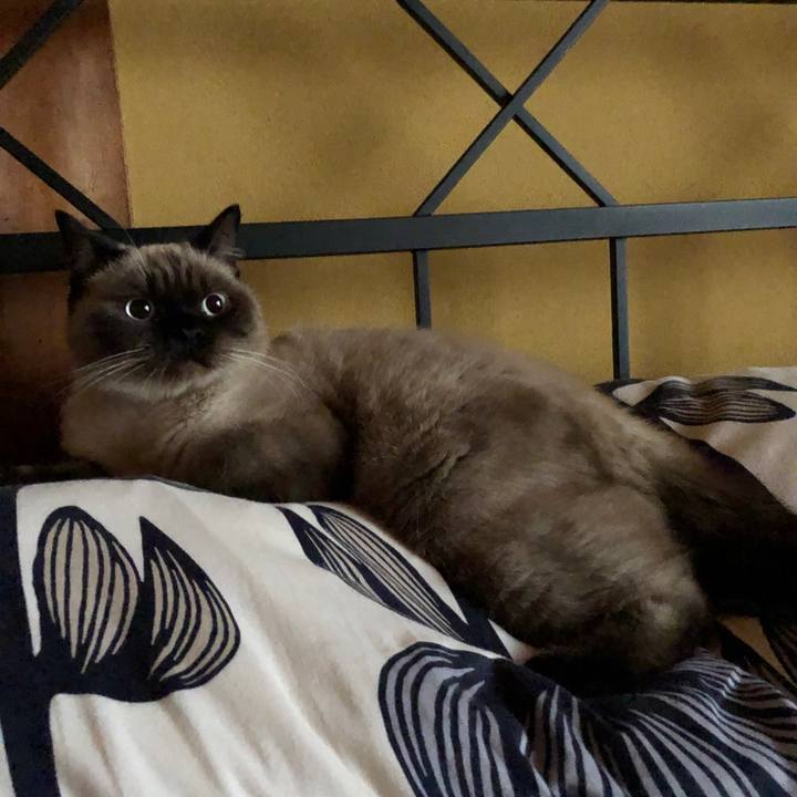 16ac7915 e487 4e60 8729 ca5daac3f528 1604708338940