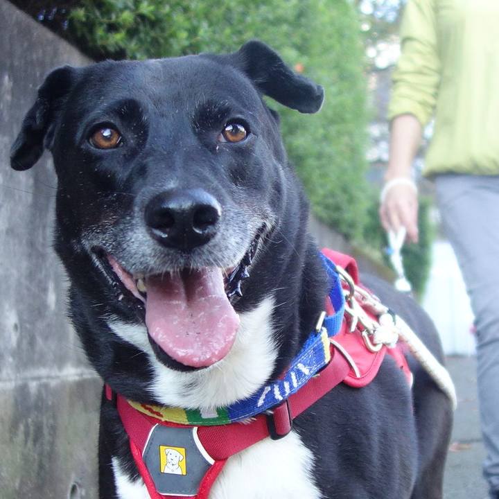 16ac9481 f65f 4f6f b380 6cd447dfc6a3 1667522165684