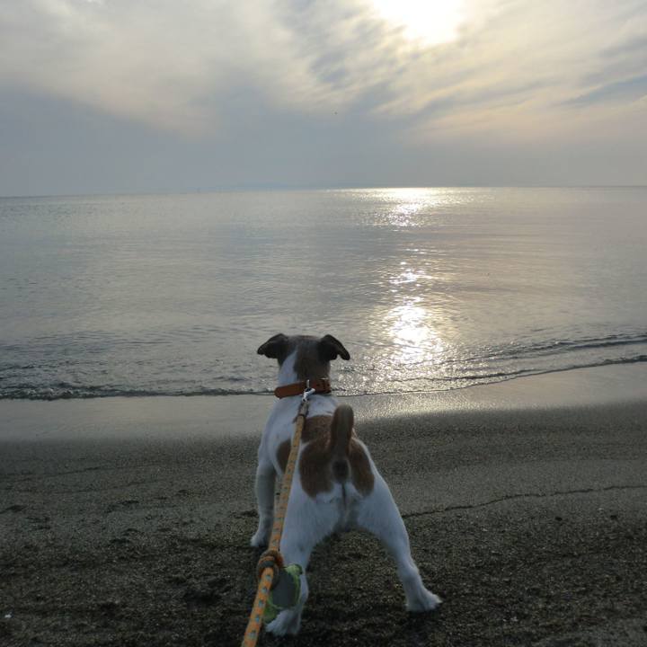 16aca79d 42f0 48bc a2c1 c74e60abacd9 1561549665945