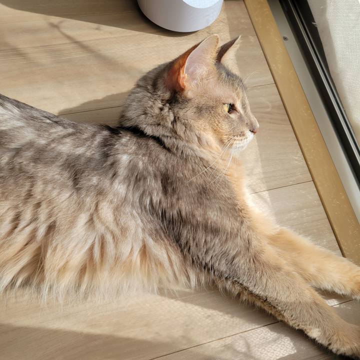 16acc216 e4b7 4ce0 b938 a27d4dd9e389 1647409407179