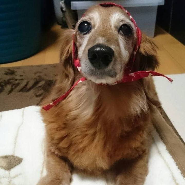 16ad01f3 2eae 4d64 a45b 26746115102d 1576083963892