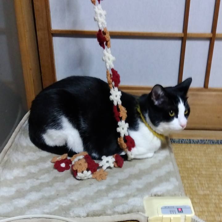 16ad3213 b142 42c5 99ed 0ca7976320a0 1645878757954