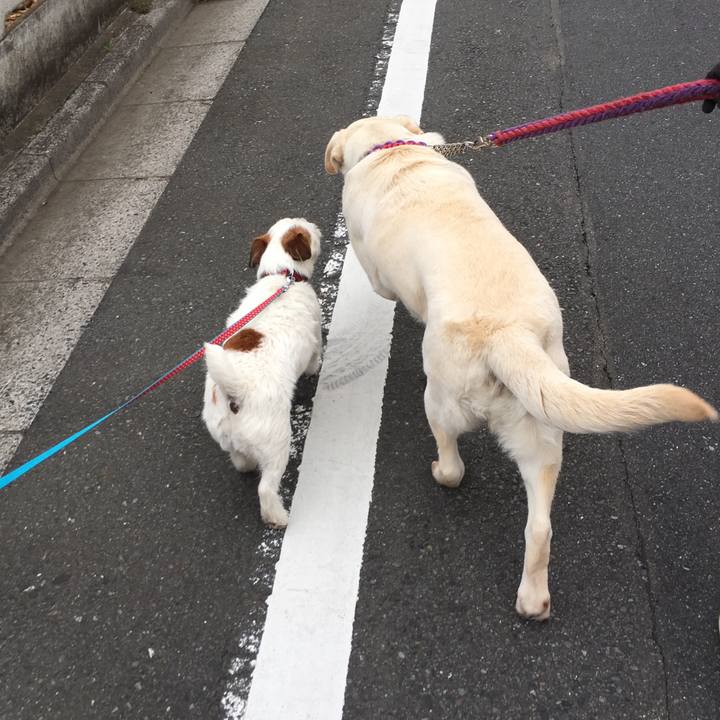 16ad5ddc e23e 472b 8f62 31ec573a92dd 1547462944489