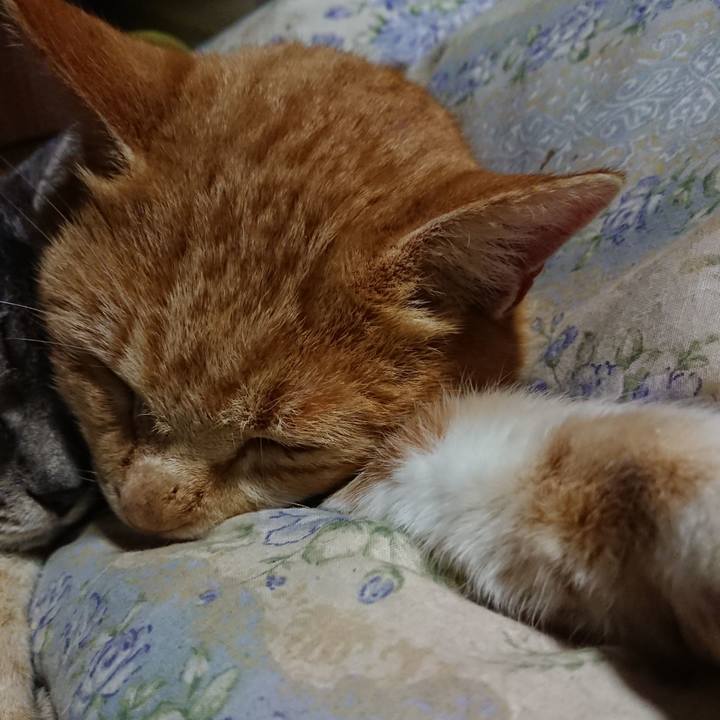 16ad6b08 07aa 4451 b8fd a6b78d45d7e9 1579522361241