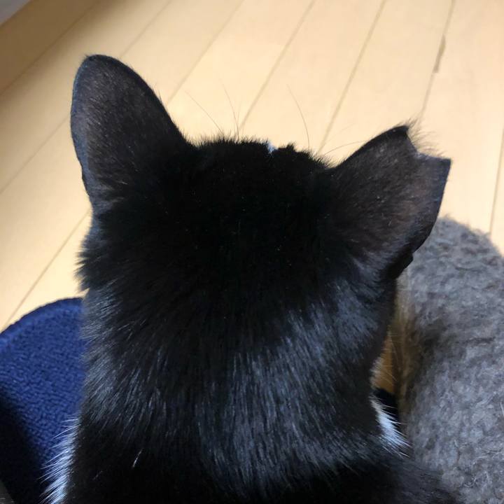 16ad7b5b 53ec 442c 92ef 797cf138c751 1616424847969