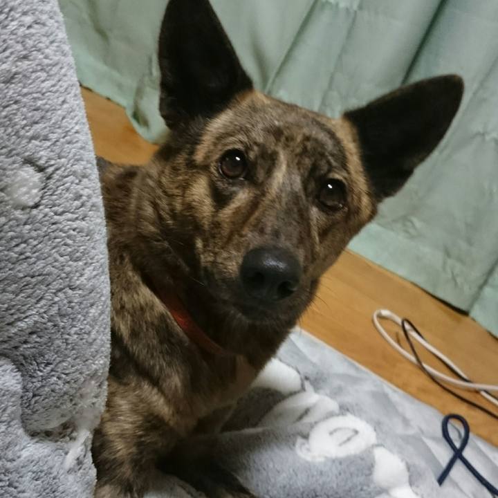 16ad96ee eca0 4048 9b4c 7b42f6cb8f0b 1508151929172