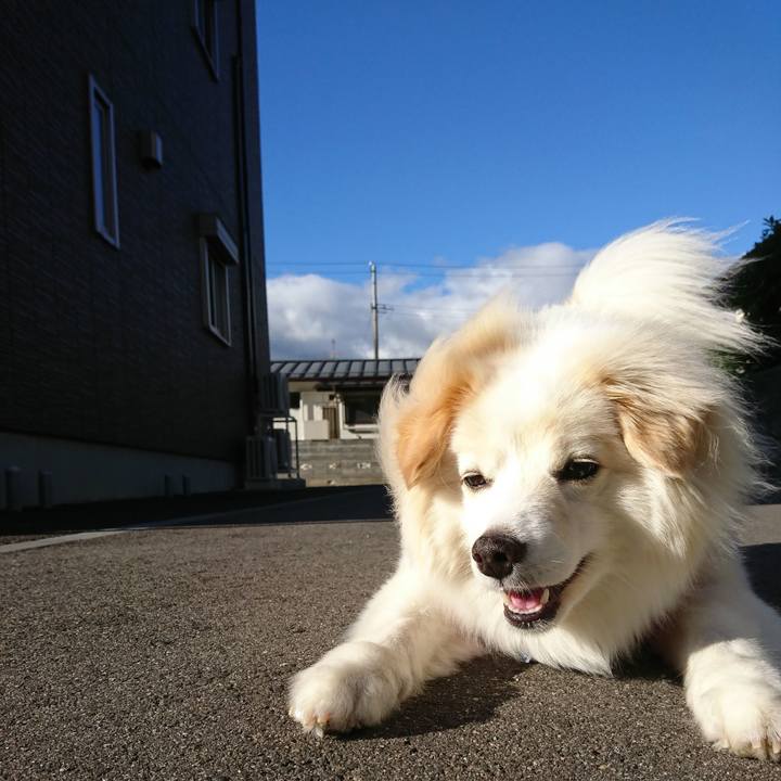 16ad9db9 ac84 4b9f 8540 0c453090f3c4 1528838766009