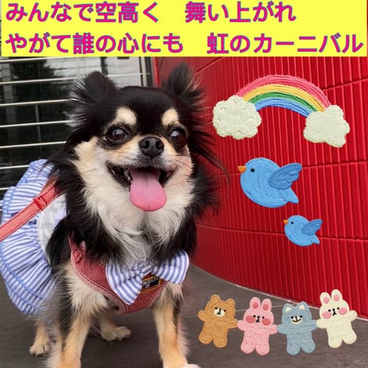 16add91d eb30 4867 ba04 0c5c6c0784f3 1625602820222