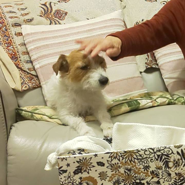 16adea9b 2408 4c97 8517 889b35ba043d 1640347149121