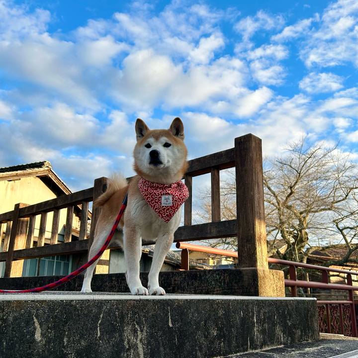 16adf280 675e 43dd 87dd 36e5cf3e7655 1708080567948