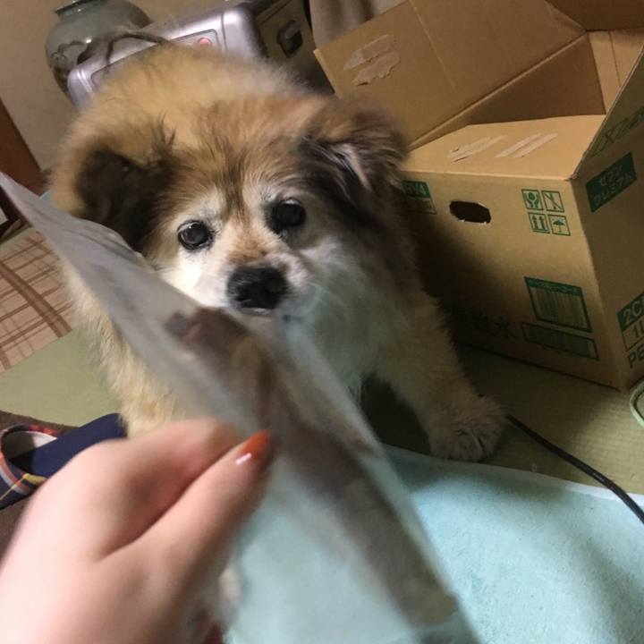 16ae5740 1a05 4387 949d 1a5cf03fb2d1 1637562845756