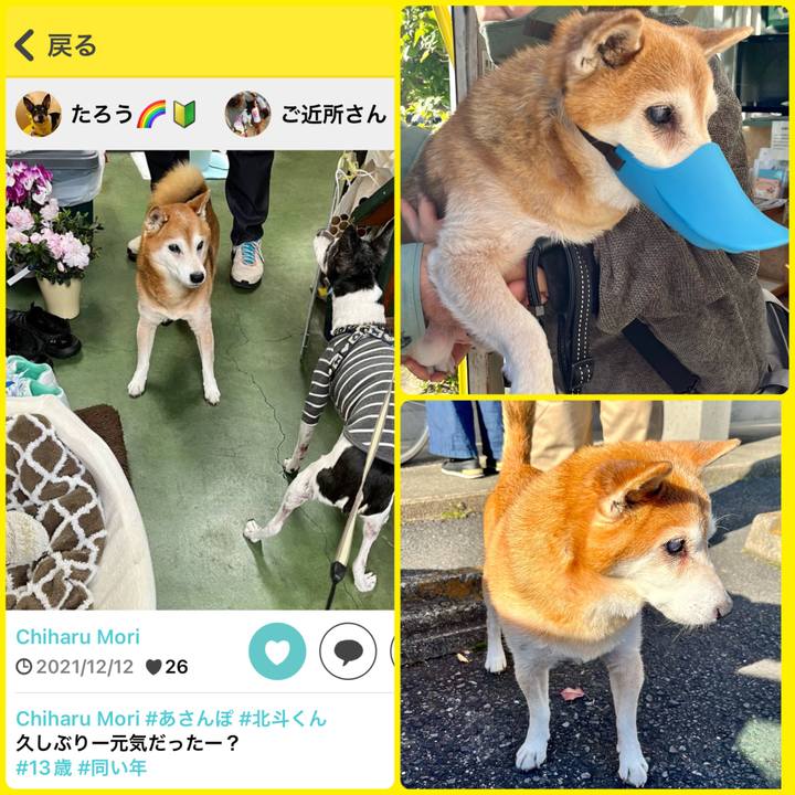 16ae5d3e e728 4be8 a6df aa6b7ed798bd 1670924737049