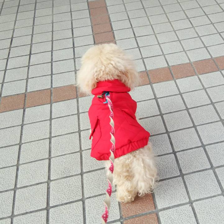 16aea3ee f473 4481 9918 c4a196544566 1551096879675