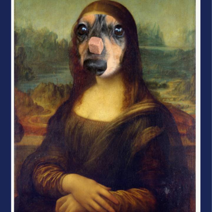 16aebb4c 4119 4392 a06f 96bd53556437 1636694939616