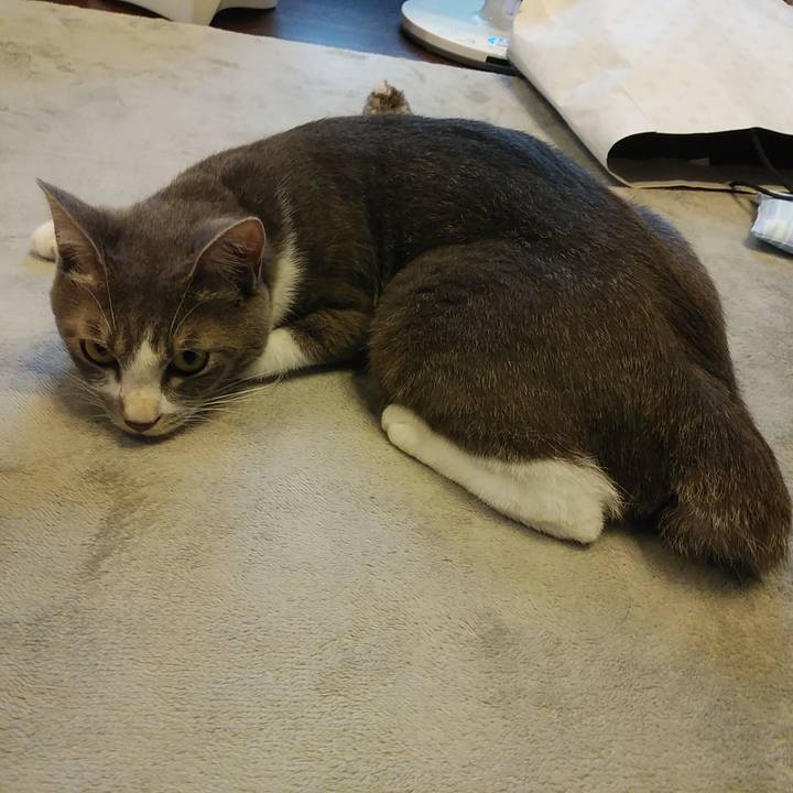 16aec1be 885a 4376 9741 095df6df2a7e 1593520835556