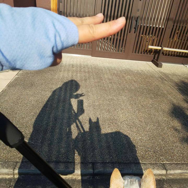 16aef550 d60e 47c9 bad0 052325cb9ccb 1628615698115