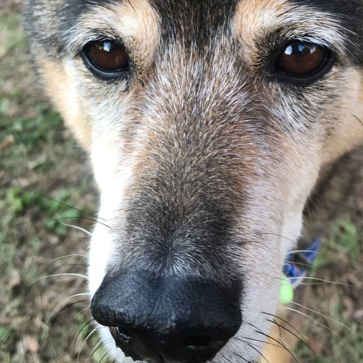 16af0557 ddd2 41ef 9843 e561e5194805 1543013455532