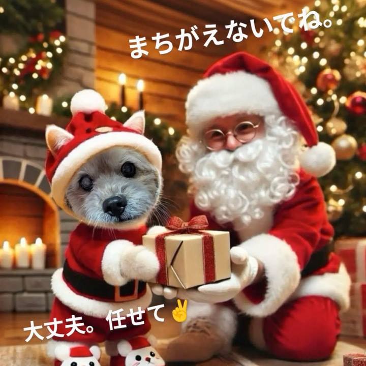 16af29c4 a95f 4855 98f9 cb3efec00c19 1734999921162