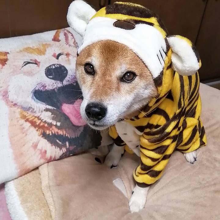 16af2ae5 b8be 4874 ab11 e6a66a8d5535 1631528604859