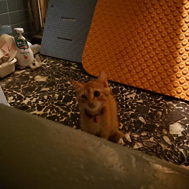 16af3097 b440 4255 91c4 956623bbf7af 1630062618597