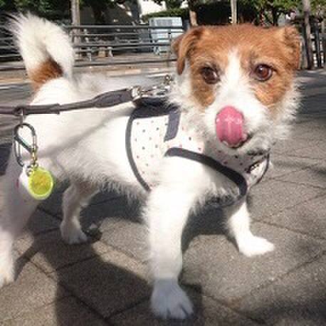 16af31c2 cc4d 43b1 bab8 01c3bbb1d965 1542479831811