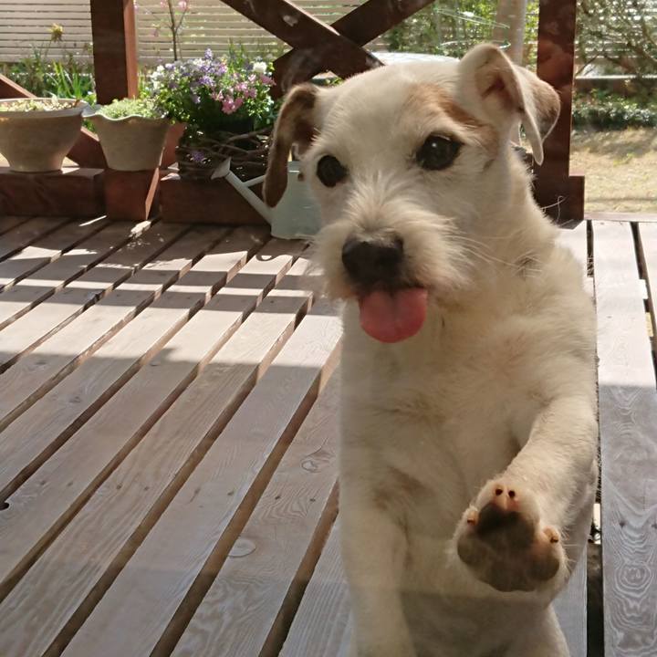 16af3f45 a778 41f8 bc85 d3e1c378cefa 1582760151873