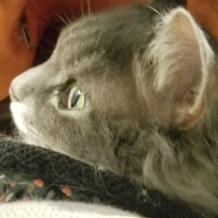 16af4318 f264 41cd 9818 e1aac6c4efd9 1544588321846