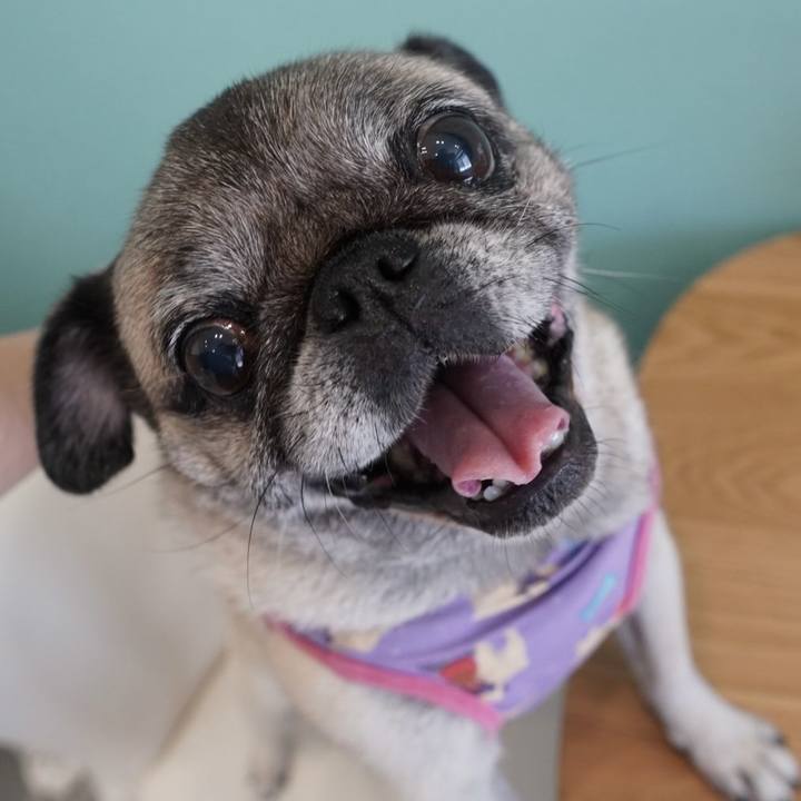 16af5f3b feae 425b a665 2b2ad9213f1b 1758410630286