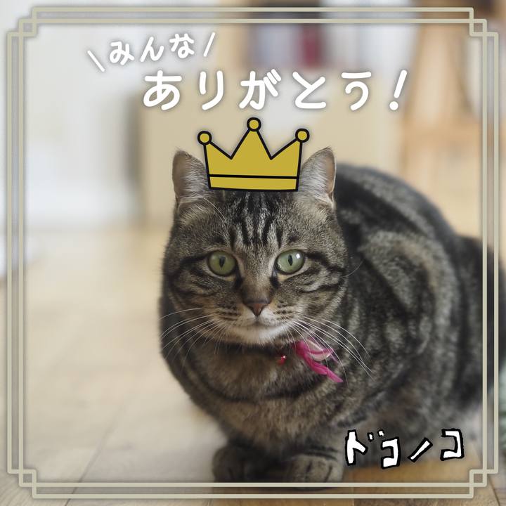 16af6581 981e 4268 bbc4 248f8423565f 1622863670416