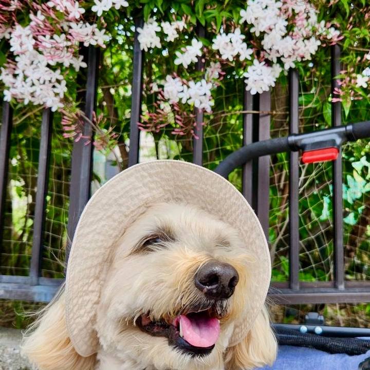 16af6ac1 409a 4e1a 992a 002e8c600fab 1776581204175