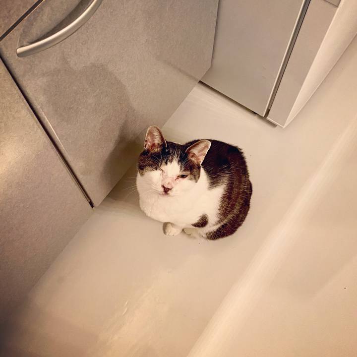 16afc79d 1912 4497 941e 9d5a301b006f 1584722116052