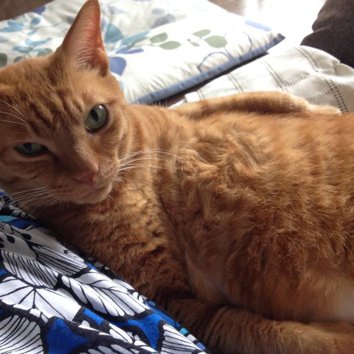 16afcfe8 4b48 4f40 a90e e577841a2613 1586419014410