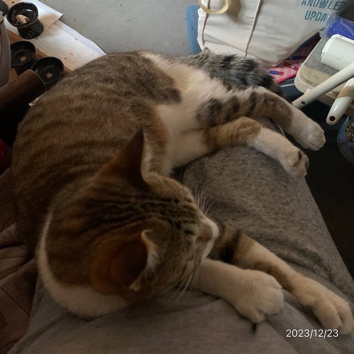 16afe4d9 e15c 4da3 bb3d 58573549b326 1703297745001