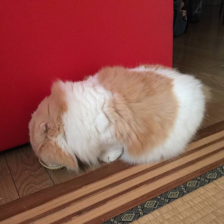 16affe60 a2bb 4e1d aa2d b0ce1cdd250f 1564696235152