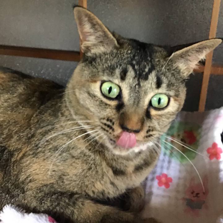 16b0b134 267c 47f6 afa7 711c4f25f934 1655628182143