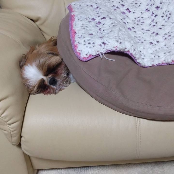 16b0c458 b691 44ac 951c e56748efc10f 1618224409403