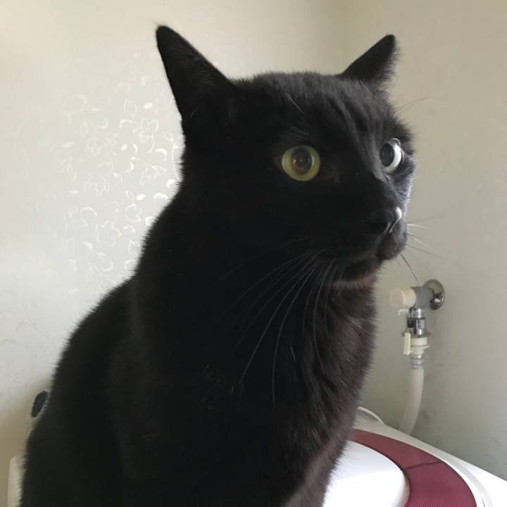 16b13cb8 33dd 4abf 9886 1b72bf071fb1 1523152019929