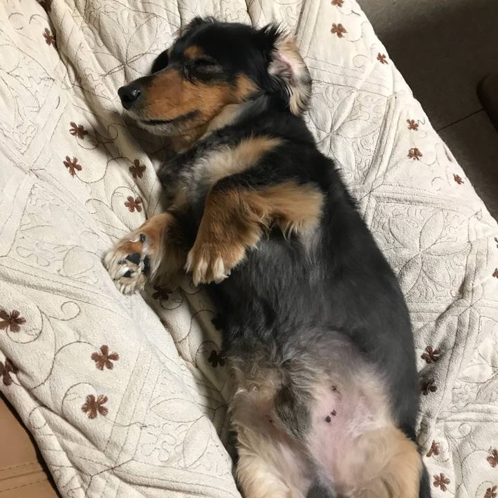 16b13e4a 4ea4 49c6 9a14 0daf91ec14ea 1520635029131