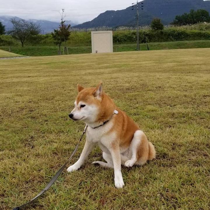 16b13ed9 953c 414f bd3c a32a9e6a1d8e 1571025777469