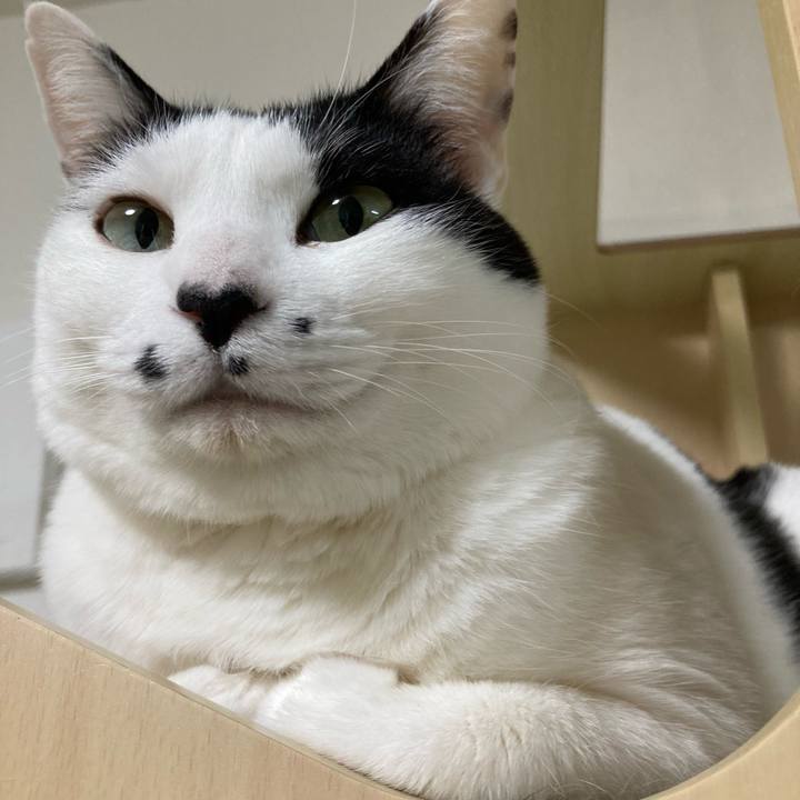 16b153e7 db00 4a56 98f2 fe7e5ac423c3 1771321464579