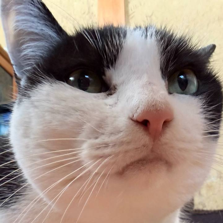 16b15633 076b 4457 9277 40a8b91efc3b 1768873559976