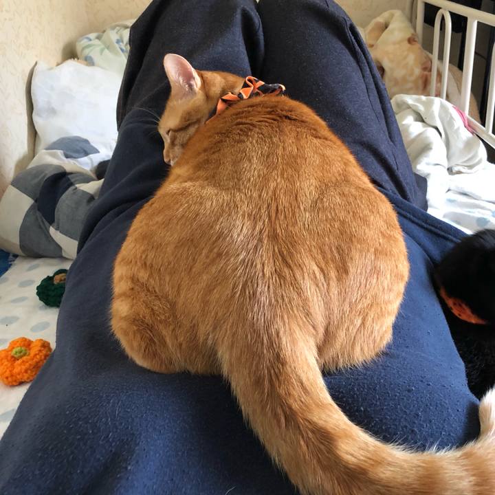 16b1608a bd86 4dd6 a46b ab26dbd25a4e 1572148551797