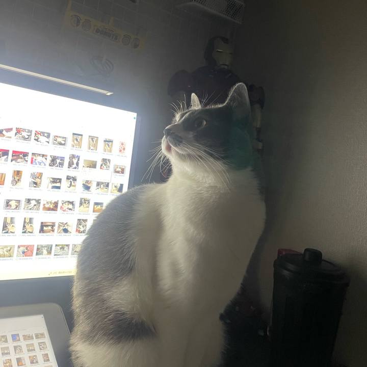 16b19a03 3f8c 4ea1 bcde e52d5ced3519 1703339175231